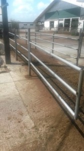 Fattoria zootecnica con costruzioni in prodotti metallici zincati